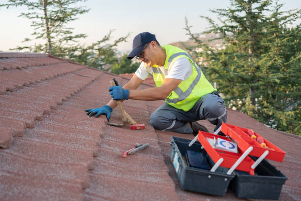 Best Storm Damage Roof Repair  in Soh Ogden, UT